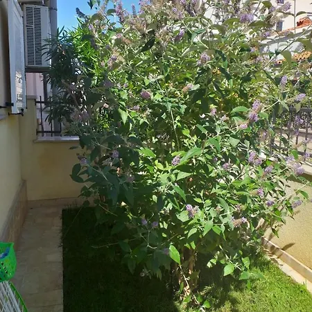 Vida Holiday home *